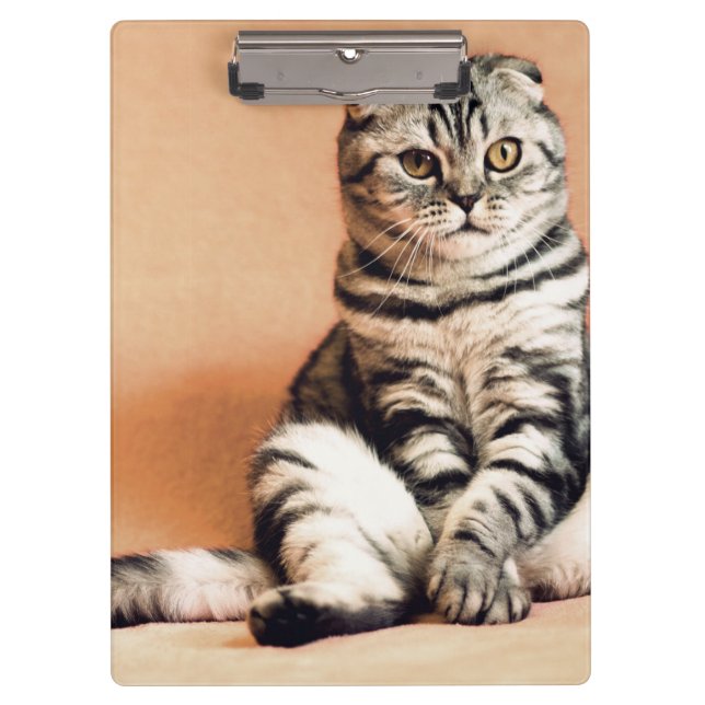 Niedliches Kitten ausgespült Klemmbrett (Vorderseite)