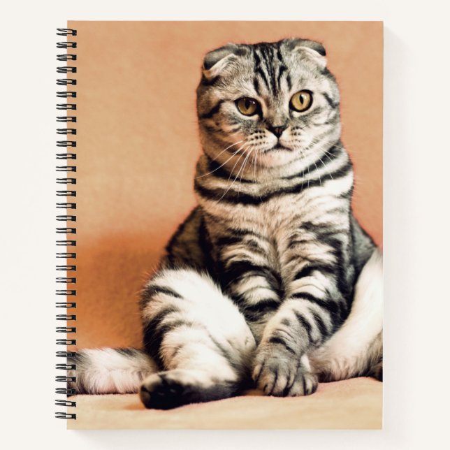 Niedliches Kitten ausgespült Notizbuch (Vorderseite)