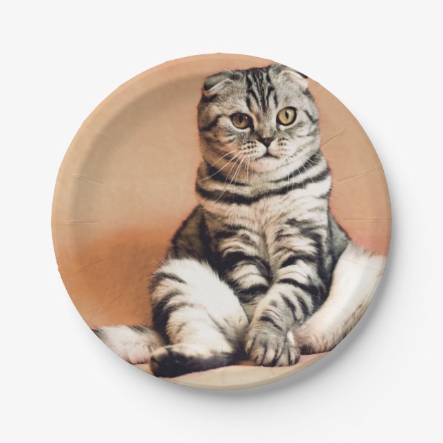 Niedliches Kitten ausgespült Pappteller (Vorderseite)