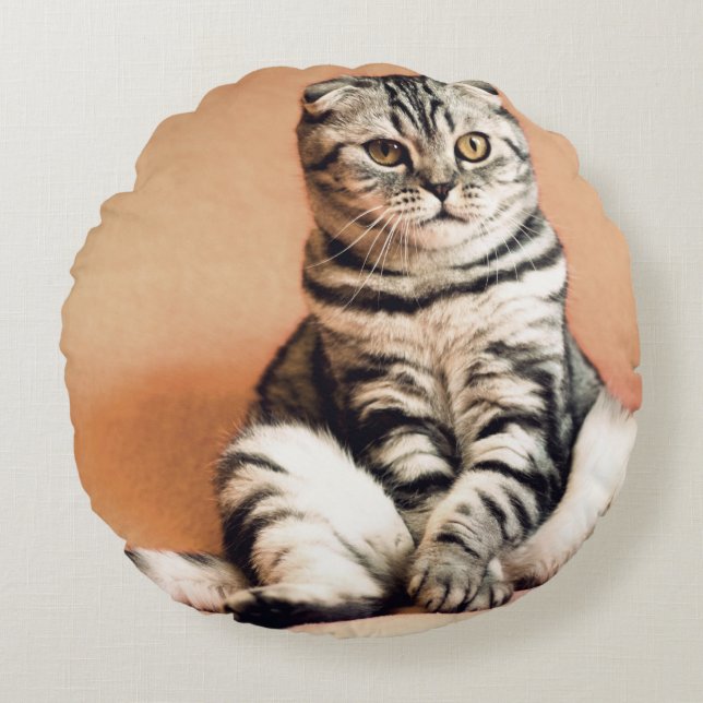 Niedliches Kitten ausgespült Rundes Kissen (Vorderseite)
