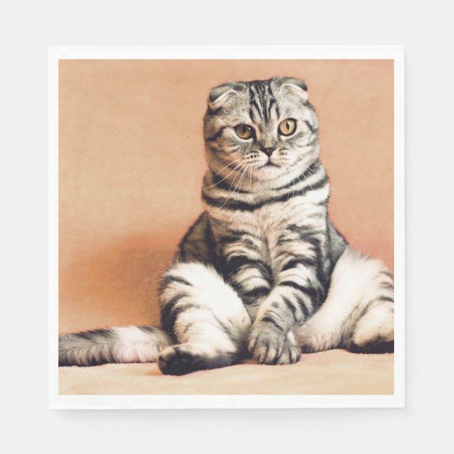 Niedliches Kitten ausgespült Serviette (Vorderseite)