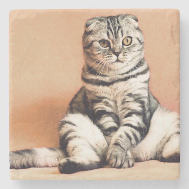 Niedliches Kitten ausgespült Steinuntersetzer (Vorderseite)