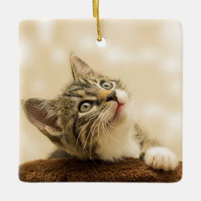 Niedliches Kitten mit ausgestreckter Pfote Keramikornament (Vorderseite)