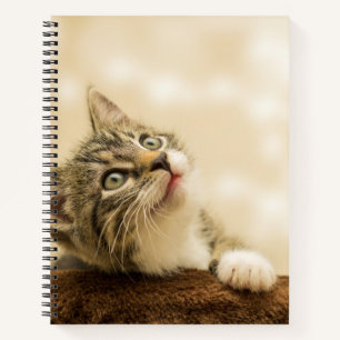 Niedliches Kitten mit ausgestreckter Pfote Notizbuch