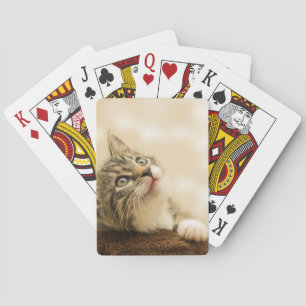 Niedliches Kitten mit ausgestreckter Pfote Spielkarten