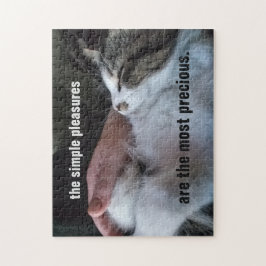 Niedliches Kittenangebot Einfache Vergnügen am Wer