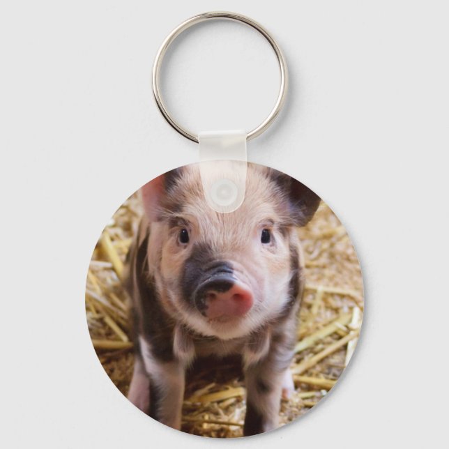 Niedliches kleines Baby Piglet Schlüsselanhänger (Vorderseite)