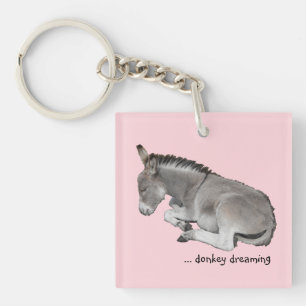Niedliches kleines graues Donkey Baby Foal Dreamin Schlüsselanhänger