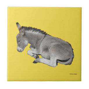 Niedliches kleines graues Donkey-Baby-Fohlen-Schla Fliese