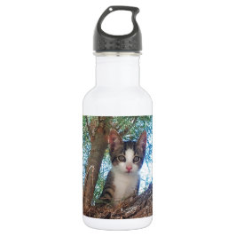 Niedliches kleines Kätzchen, das im Wald spielt Edelstahlflasche