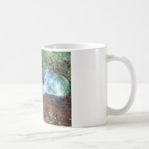 Niedliches kleines Kätzchen, das im Wald spielt Kaffeetasse