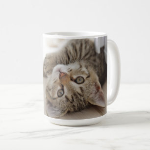 Niedliches kleines Kätzchen Kaffeetasse