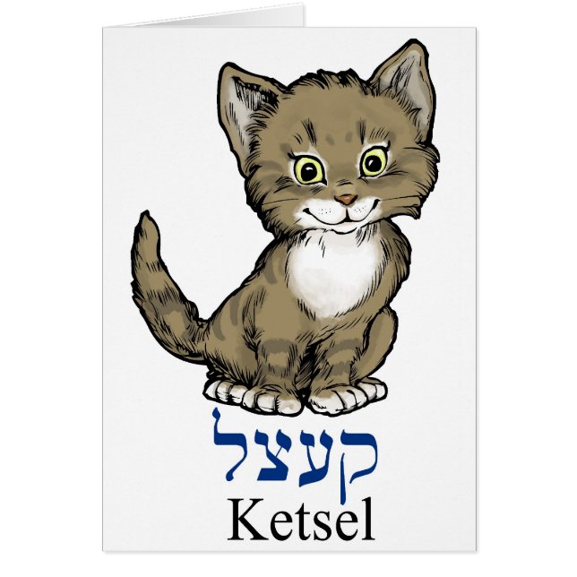niedliches kleines Kätzchen "ketsel" auf Yiddish (Vorne)