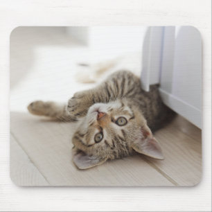 Niedliches kleines Kätzchen Mousepad