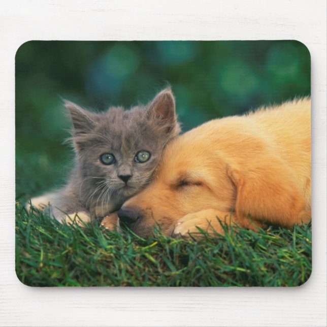 Niedliches kleines Kätzchen und Welpe zusammen Mousepad (Vorne)