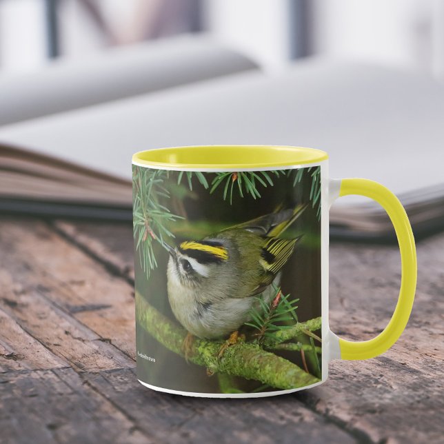 Niedliches Kleines Kinglet verursacht eine Stir in Tasse (Golden-Crowned Kinglet Causing a Stir in the Fir 11 oz Coffee Mug Cover Photo 1.)