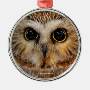 Niedliches kleines Nördliches Sägemehl Silbernes Ornament