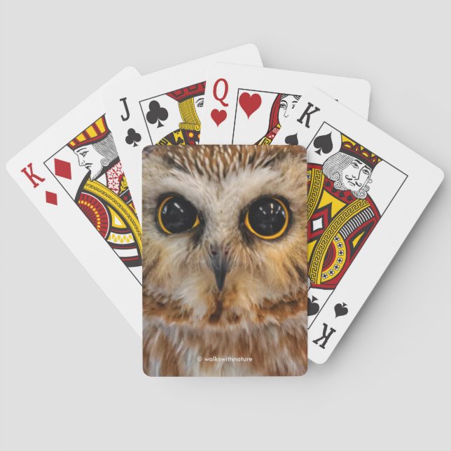 Niedliches kleines Nördliches Sägemehl Spielkarten (Rückseite)