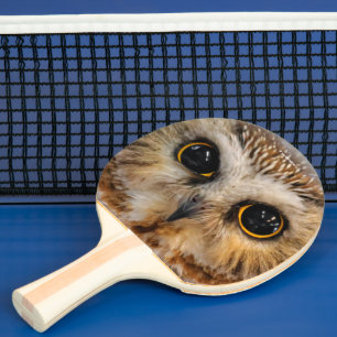 Niedliches kleines Nördliches Sägemehl Tischtennis Schläger