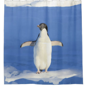 Niedliches kleines Penguin-Vogel-Blau-Eis Duschvorhang