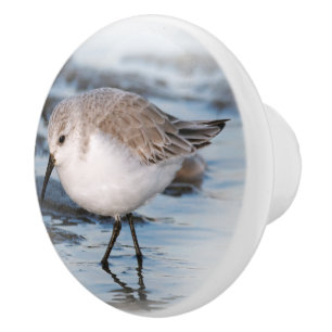 Niedliches Kleines Sanderling am Strand Keramikknauf