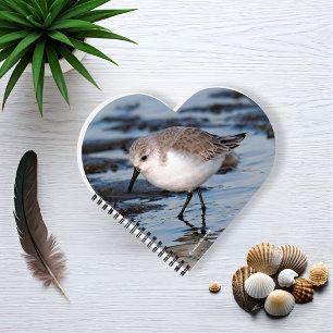 Niedliches Kleines Sanderling am Strand Notizbuch