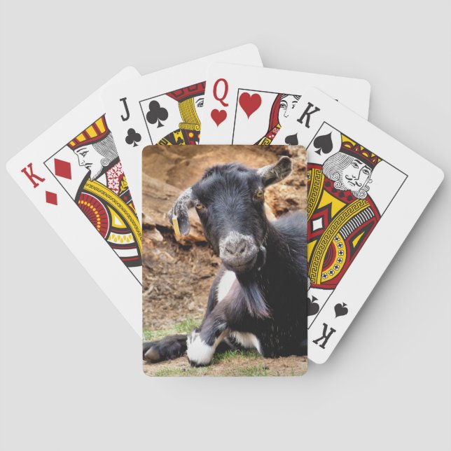 NIEDLICHES KLEINES ZIEGEL SPIELKARTEN (Rückseite)
