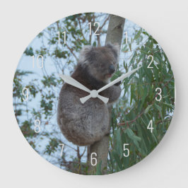 Niedliches Koala Klettern in einem Baum Australien Große Wanduhr