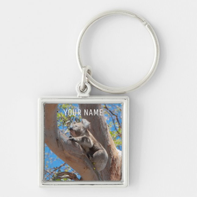 Niedliches Koala Klettern in einem Baum Australien Schlüsselanhänger (Vorne)