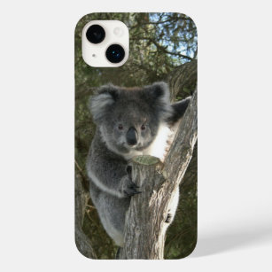 Niedliches Koala Kletterparadies für Kletterhexen: Case-Mate iPhone 14 Plus Hülle
