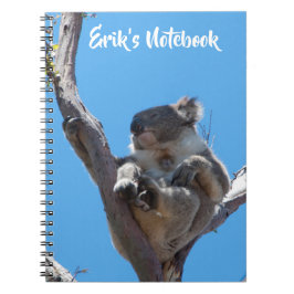 Niedliches Koala Schlafen in einem Baumaustralien Notizblock
