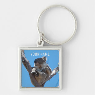 Niedliches Koala Schlafen in einem Baumaustralien Schlüsselanhänger