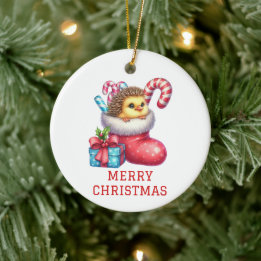 Niedliches Küken mit Igel Weihnachten Keramik Ornament