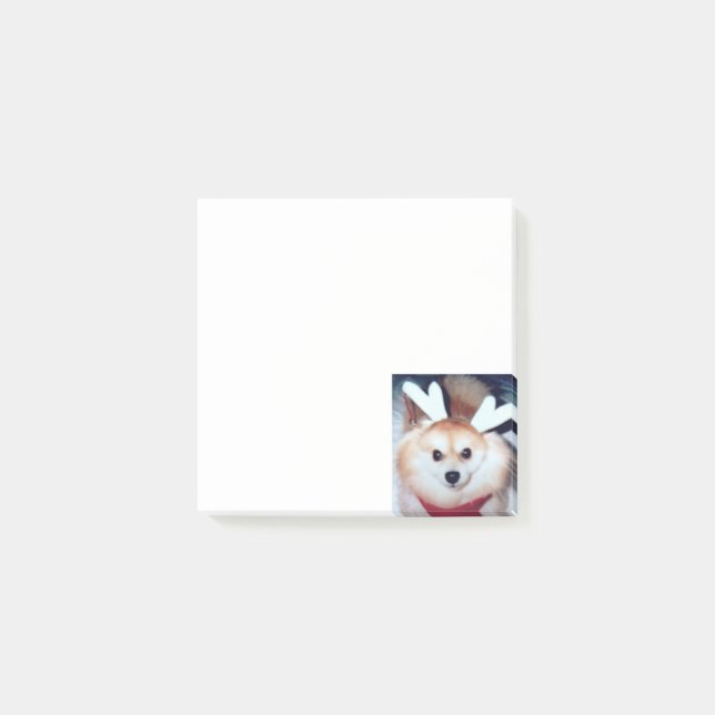 Niedliches kundenspezifisches Welpen-HundeFoto Post-it Klebezettel (Vorderseite)