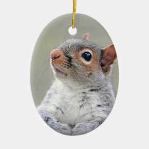 Niedliches, kurioses Eichhörnchen-Foto Keramik Ornament