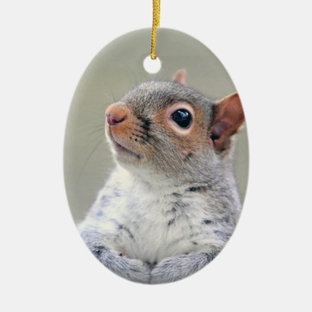 Niedliches, kurioses Eichhörnchen-Foto Keramik Ornament (Vorne)