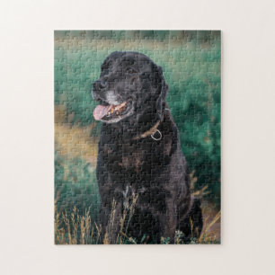 Niedliches Labrador Black Doppy-Welpen