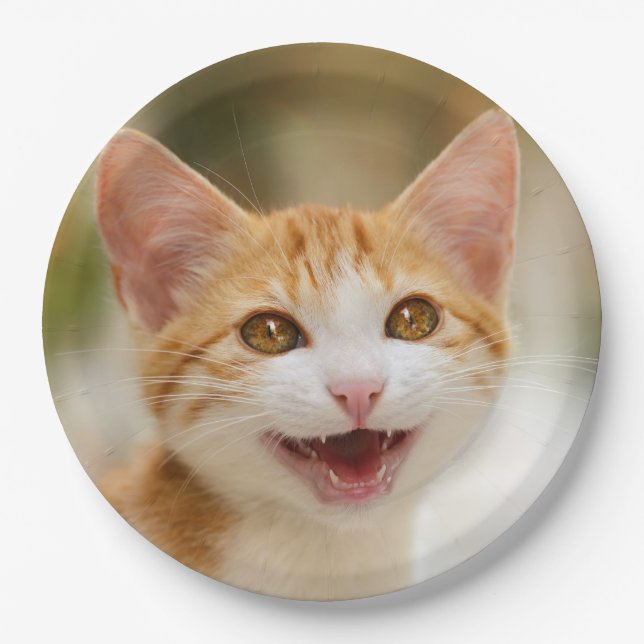 Niedliches Lächeln Kitten Face Funny Cat Meow Foto Pappteller (Vorderseite)