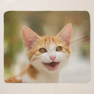 Niedliches Lächeln Kitten Face Funny Cat Meow Foto Sherpadecke