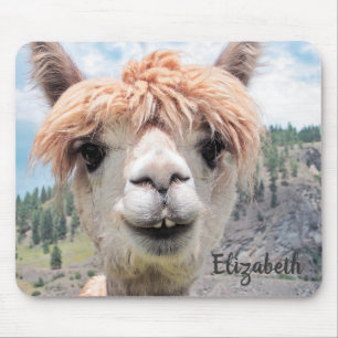 Niedliches lächelndes Alpaka-Foto-Bild Mousepad