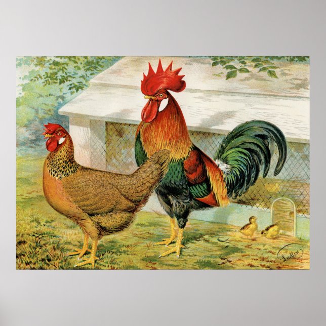Niedliches Landhahnchen und Vintages Küchenplakat Poster (Vorne)