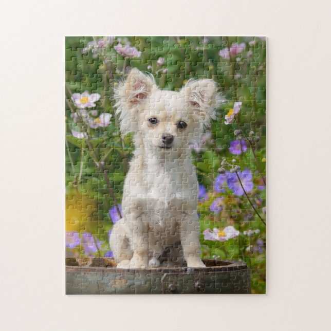 Niedliches langhaariges Chihuahua-Hundewelpen-Foto (Vertikal)