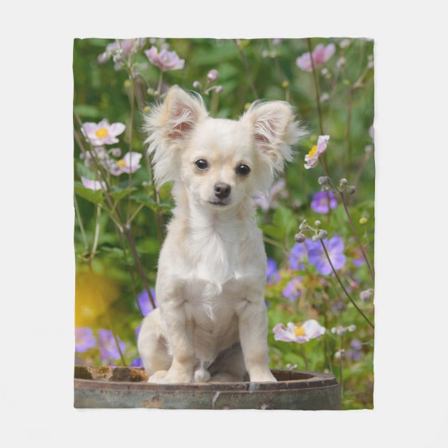 Niedliches langhaariges Chihuahua-Hundewelpen-Foto Fleecedecke (Vorderseite)