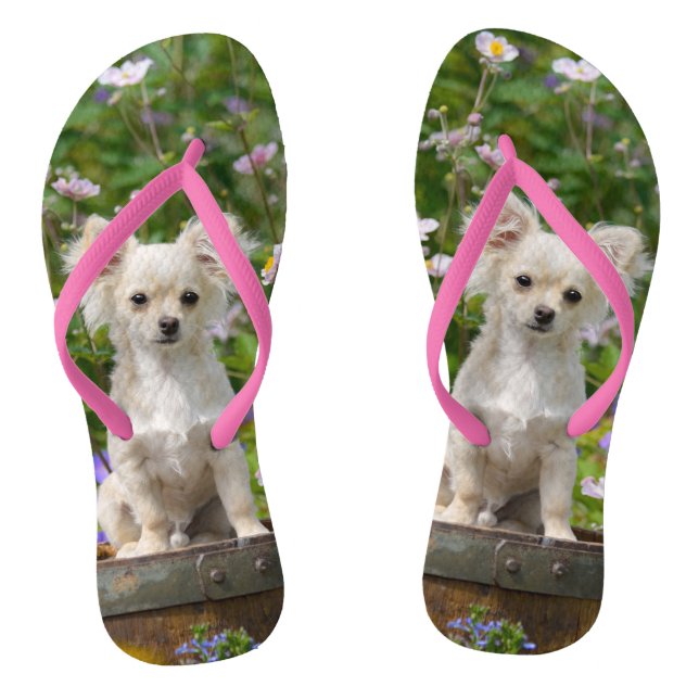 Niedliches langhaariges flip flops (Fußbett)