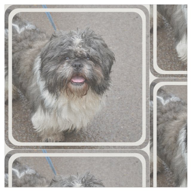 Niedliches Lhasa Apso Stoff (Nahaufnahme)