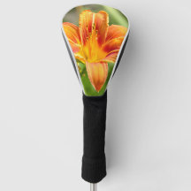 Niedliches Lily Blume Foto