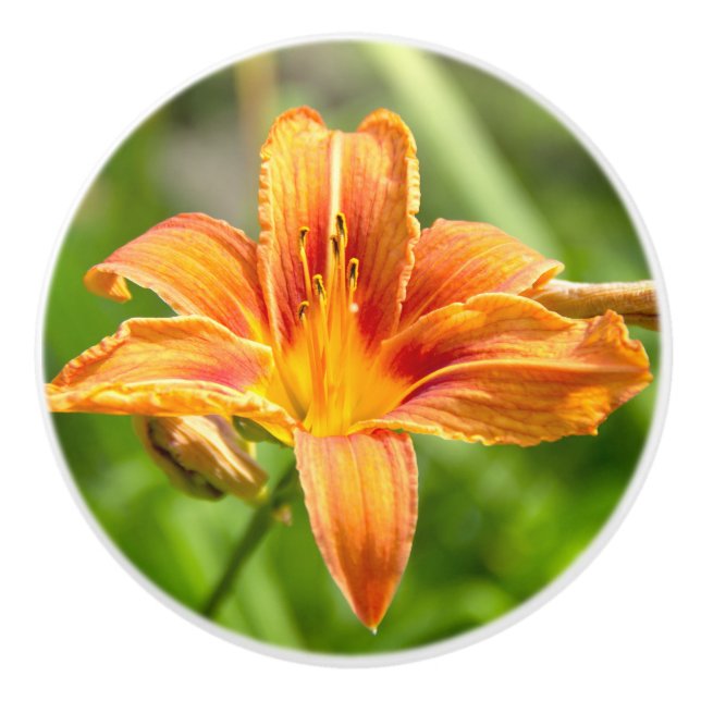 Niedliches Lily Blume Foto Keramikknauf (Vorderseite)
