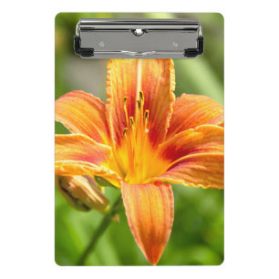 Niedliches Lily Blume Foto Mini Klemmbrett