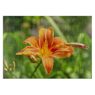 Niedliches Lily Blume Foto Schneidebrett