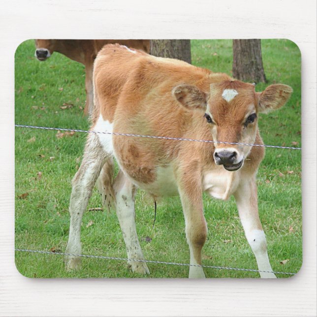 Niedliches Little Calf Mousepad (Vorne)
